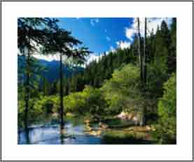 �Ӵ󻭲�Ч��